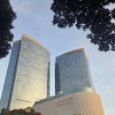 행복드림자동차써비스 | [제주/노형]하얏트호텔 실제 투숙 후기 &amp; 드림타워 훠궈 🍲 + 드림타워 내부구경 최신 후기