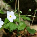 (주)하늘재