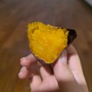 일산황토마루한증막 이미지