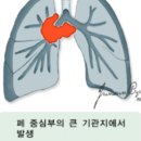 이화자연약국 이미지