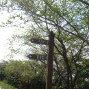 조도대교 이미지