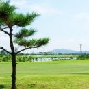 고창CC 이미지