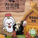 냠냠밸런스 네이버블로그
