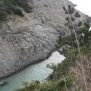 진도약초 이미지