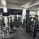 노익스짐 이미지