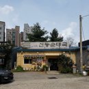 신동순대국 | [영통구] 수원 망포 로컬단골 맛집 신동순대국 내돈내산 후기