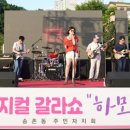 하모니 오브 뮤지컬 이미지