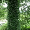 강선대경로당 이미지