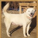 보화1로1 이미지