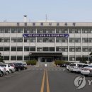 수의 이미지