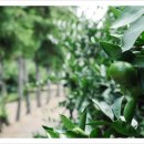 선배농장 이미지