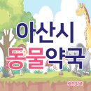 마음동물약국 이미지