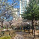 성내하니공원 이미지