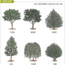 정원조경수관리 이미지