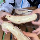 미사호수공원 폭신폭신한 베이글! 베이커리 배숙화(내돈내산)