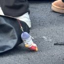 달구지막창 이미지