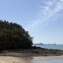 장작1번지 | 태안 사목공원캠핑장 A구역 05번 사이트🌅 2번째 방문 후기