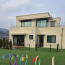 모모펜션 | 가평 애견동반펜션 깨끗한 신축펜션 모모애견풀빌라 내돈내산 만족후기