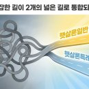 (합)대부연종합관리 | 햇살론뱅크 조건 총정리 2026|햇살론일반 통합 후 금리·한도·신청방법·부결 대응까지