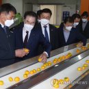 대정연합의원 이미지