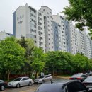 상록레몬약국 이미지