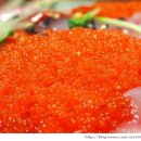 아싸가오리 이미지