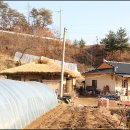 까치구멍집 이미지