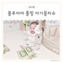 풀빛사랑 | 아기 물티슈 추천 도톰한 블루마마 와오 풀빛 물티슈 후기