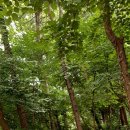 샘터배드민턴장 화장실 이미지