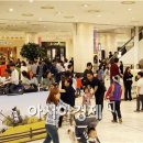 스크린승마(주) 이미지