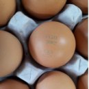 계림유통 이미지