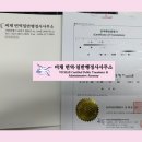비채 번역일반행정사사무소 네이버블로그