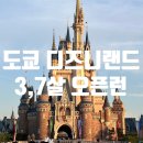 도쿄 디즈니랜드 평일 오픈런 후기, 꿀팁(신데렐라성 공사 끝)