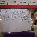 새버팀목 정책브리핑