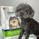 예지사료 이미지