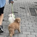 김밥천국 보라매역점 이미지