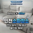 인천소파청소 비치움홍반장홈케어 건식 습식 스팀 살균 후기