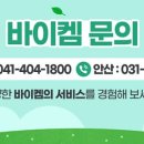 바이켐