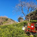 청석골농장 이미지