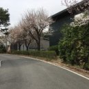 양지마을4로 이미지