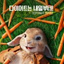 귀여운 토끼들이 잔뜩 나오는 영화 피터 래빗 줄거리 결말 후기