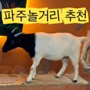 지원에이 | 파주 아이랑 가볼만한곳, 실내동물원 테이블에이 솔직후기