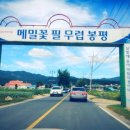 글레이드펜션 이미지