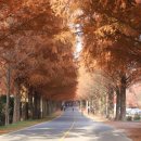 고원(주) 이미지