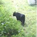 낭낭이네 이미지