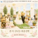 W4. 20만원대 가성비 보타닉파크웨딩 카라홀 본식 DVD 계약 후기｜블루머 계약 후기