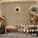 [의정부] 아로하포레스트 무인 키즈카페, 키즈풀 실내 놀이터