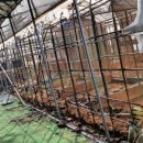 대오농장 이미지