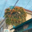 대봉1동 행정복지센터 이미지