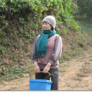 정옥농장 이미지